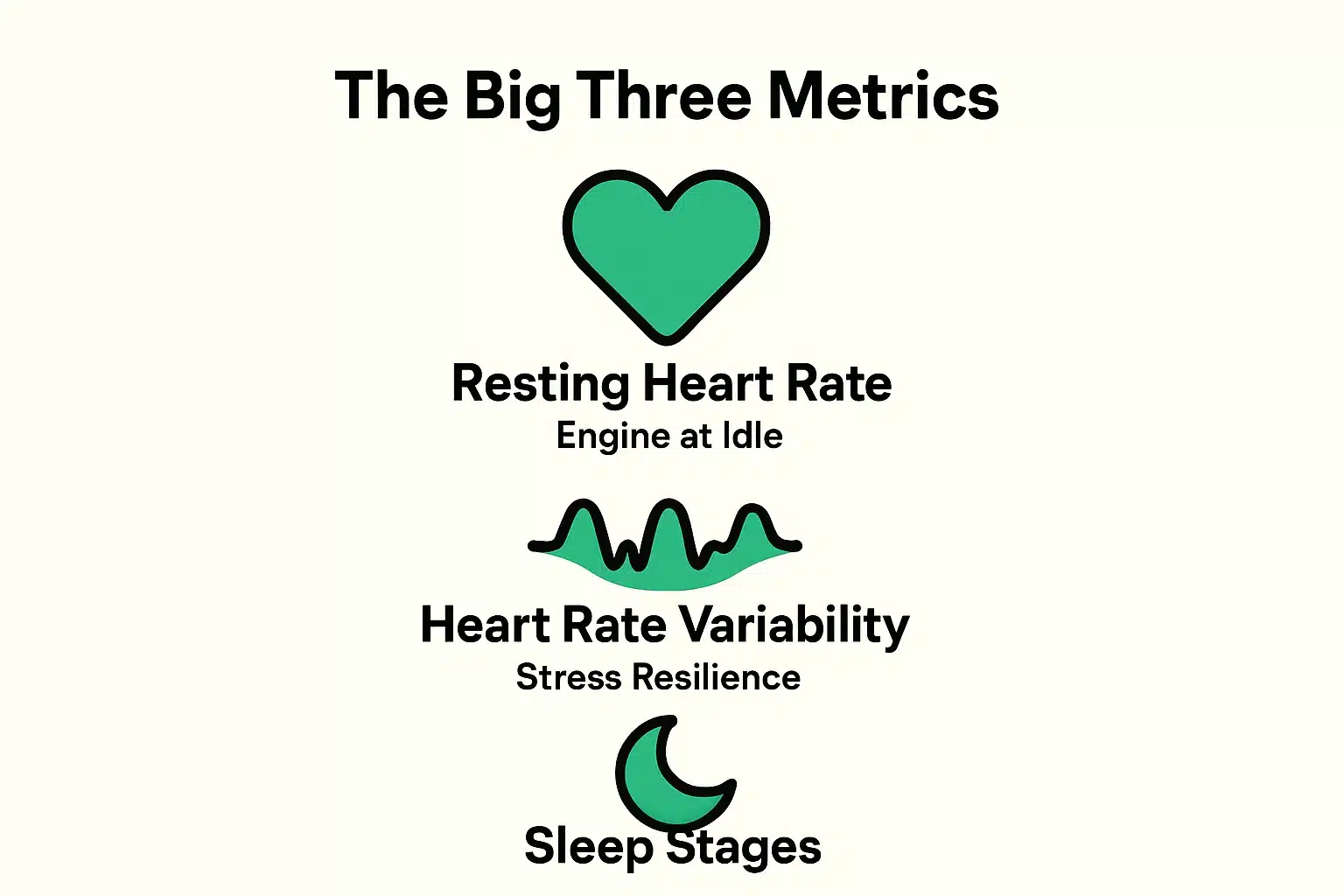 This visual simplifies the three essential wearable health metrics seniors need to understand for personal wellness management.